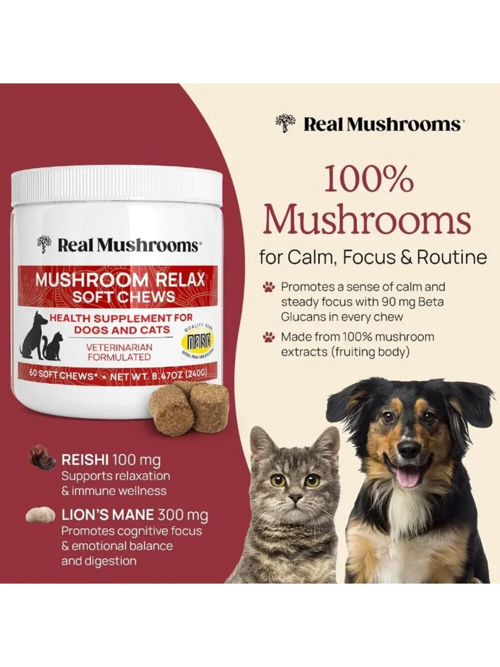 Calming Soft Chews for Dogs & Cats - Reishi & Lion's Mane Treats for Stress